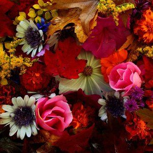 Meet your Posher, MissZorie